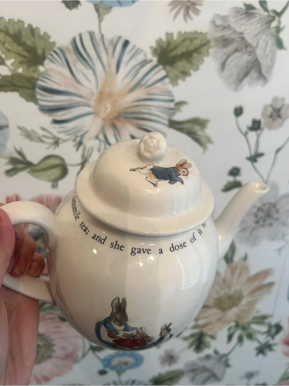 Wedgwood Peter Rabbit Teapot, Beatrix Potter Decor